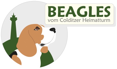 Logo Heimatturmbeagles