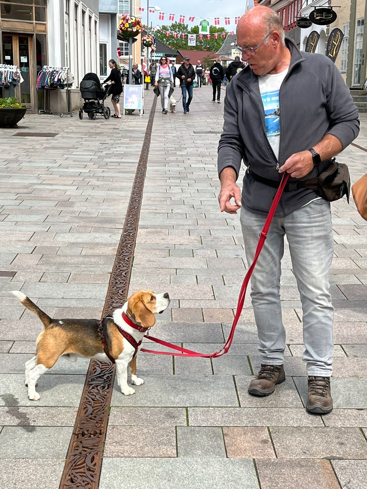 Harry und Helmut