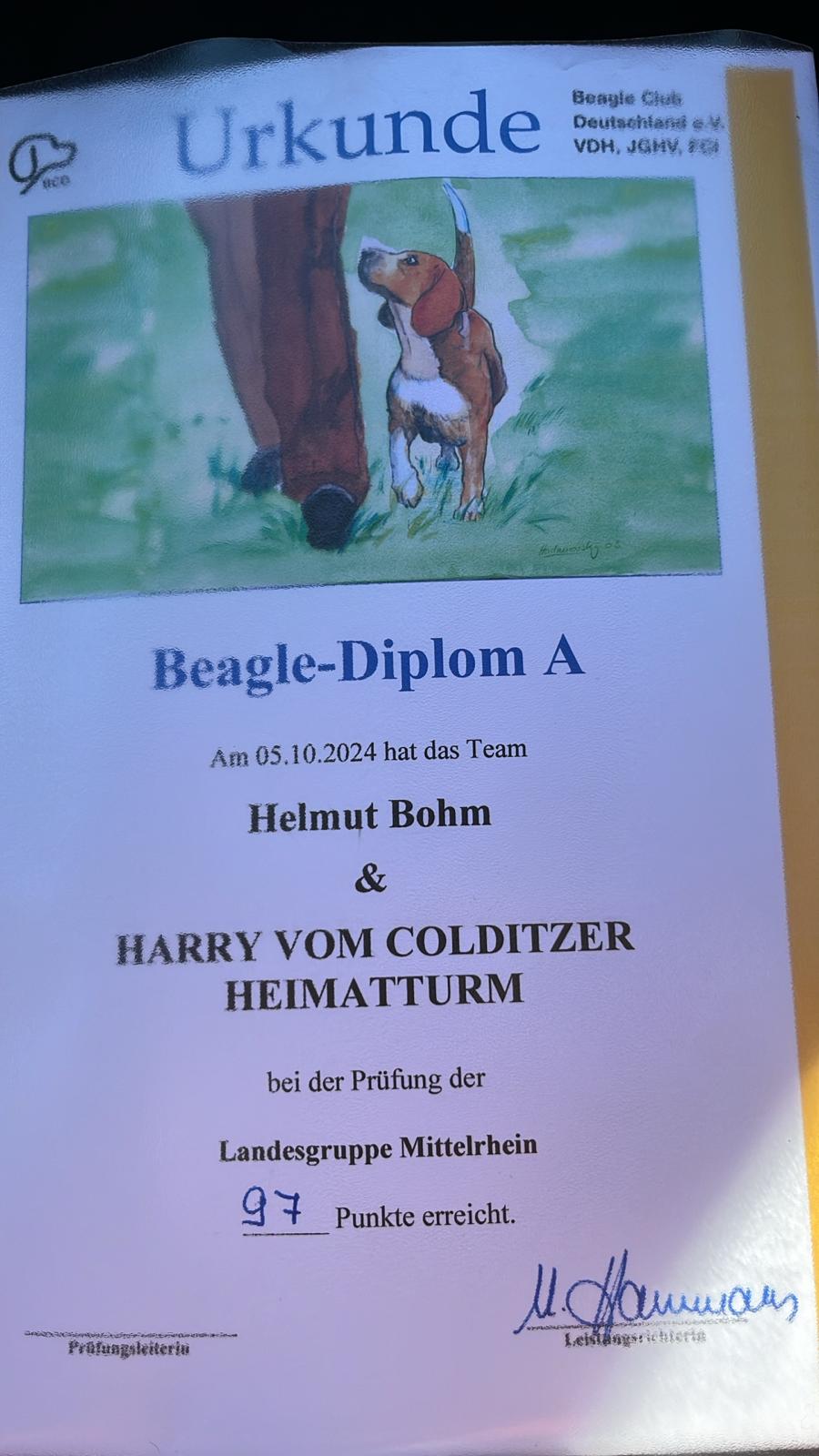Harry und Helmut Beaglediplom